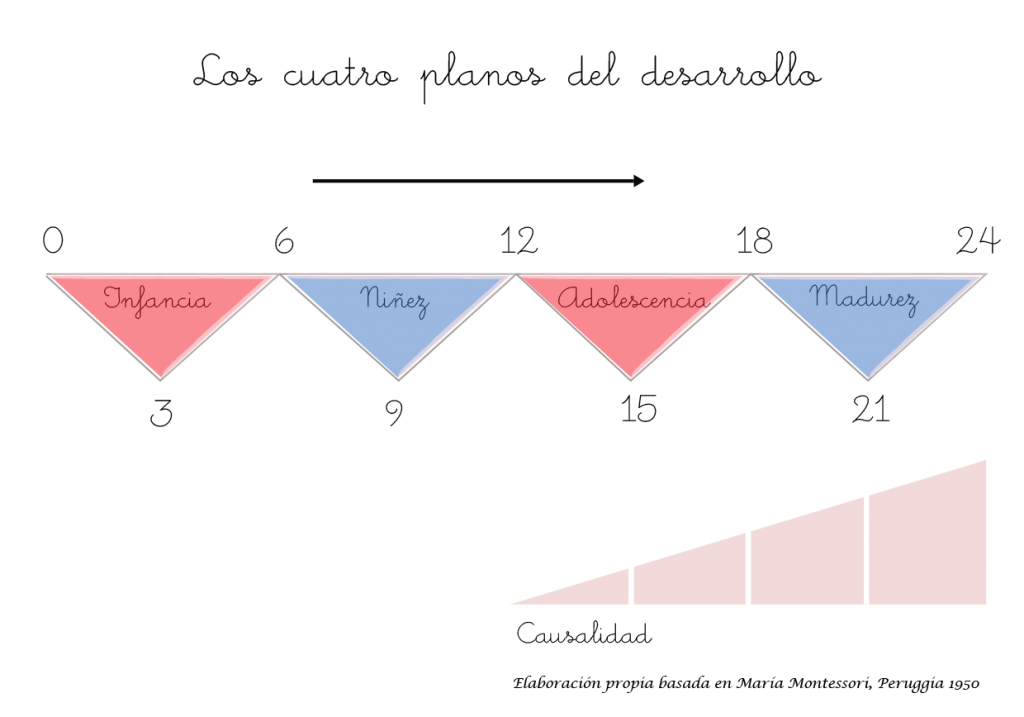 4 Planos de desarrollo Montessori