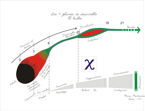 4 Planos de desarrollo Montessori