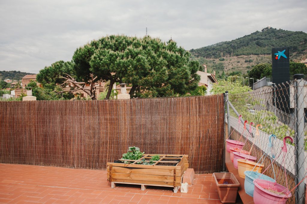 Green Project en Montessori Village, huerto