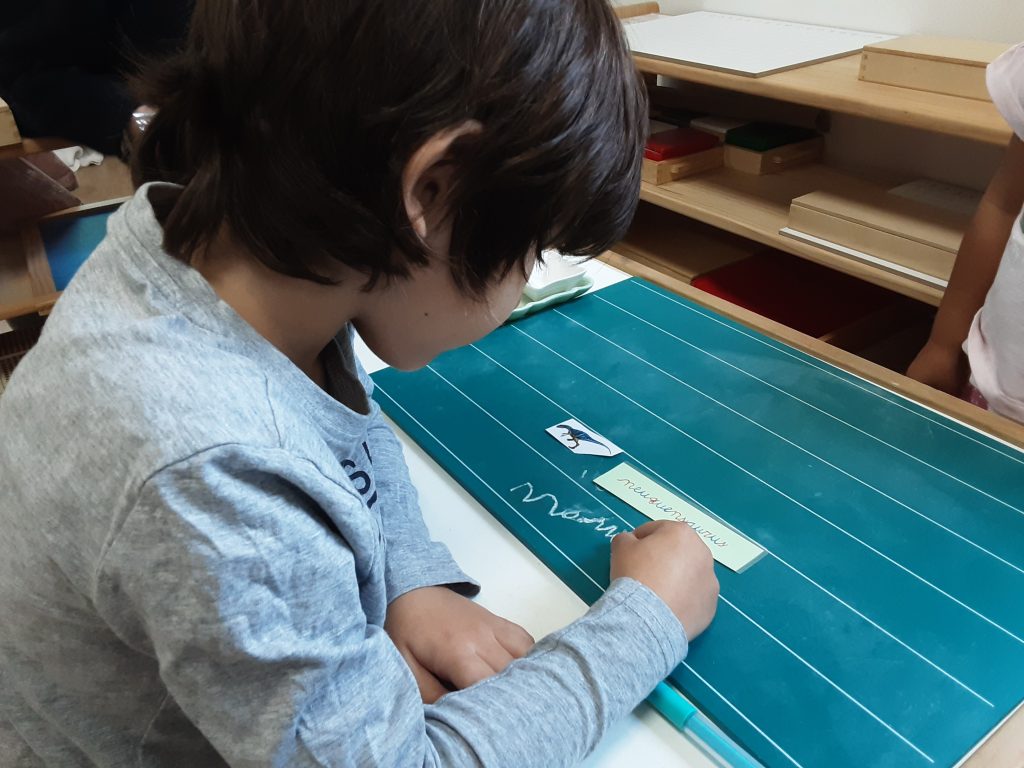 Área del lenguaje Montessori